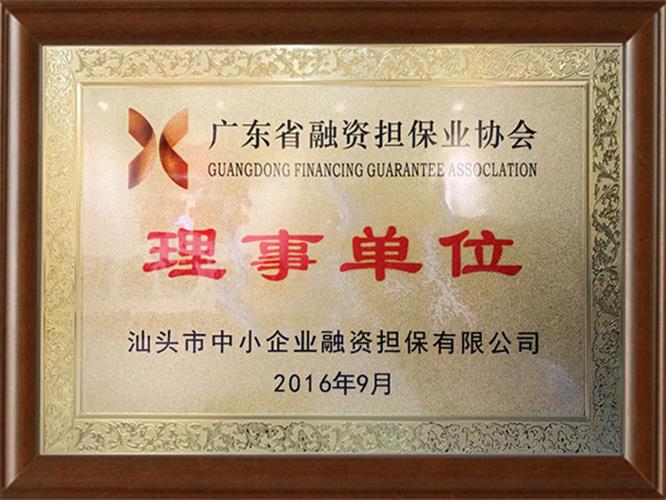 廣東省融資擔(dān)保業(yè)協(xié)會-理事單位