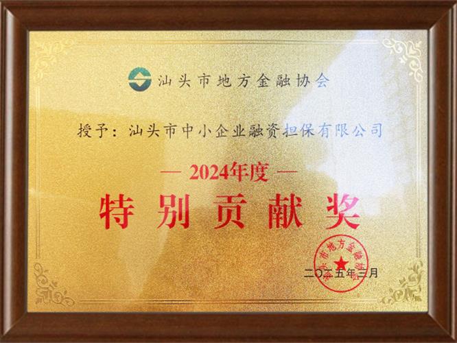 2024年度汕頭市地方金融協(xié)會特別貢獻獎